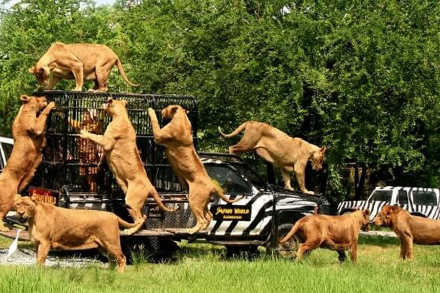 đăng ký tour du lịch Thái Lan tại quận Tân Phú
